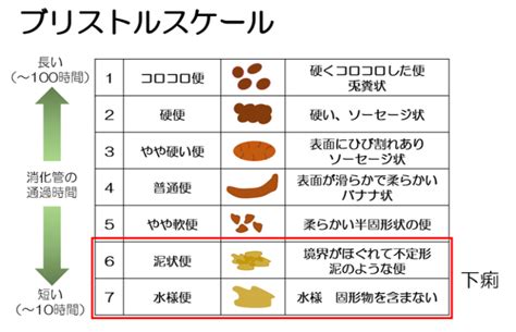 水便原因|元気なのに下痢が続く？下痢・水下痢の原因や治療・。